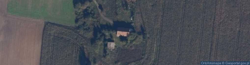 Zdjęcie satelitarne Ogorzelińska ul.