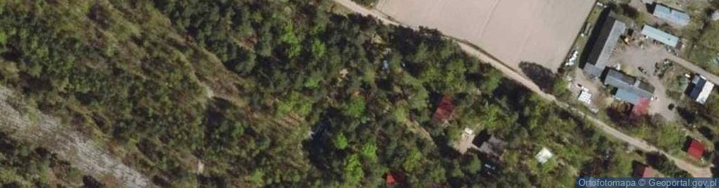 Zdjęcie satelitarne Ogony ul.