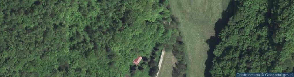 Zdjęcie satelitarne Ojcowska ul.