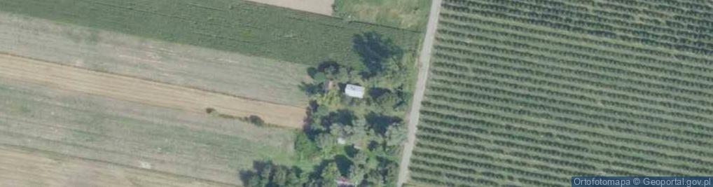 Zdjęcie satelitarne Okalina-Kolonia ul.