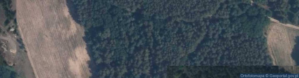 Zdjęcie satelitarne Okolusz ul.
