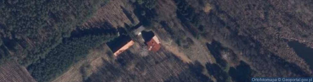 Zdjęcie satelitarne Okunie ul.