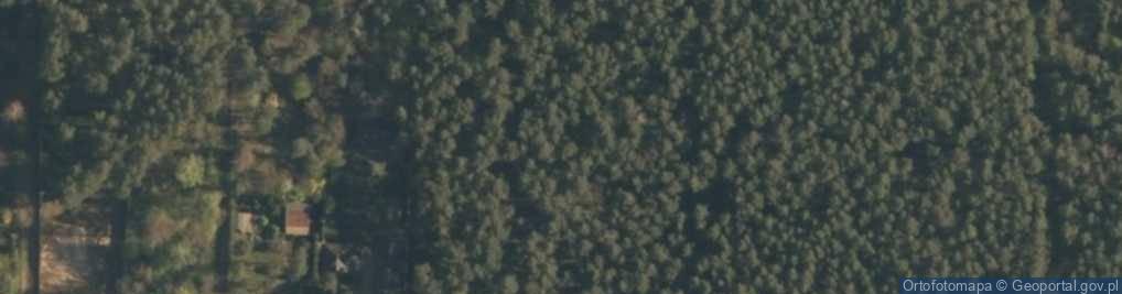 Zdjęcie satelitarne Orła ul.