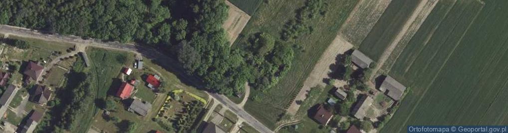 Zdjęcie satelitarne Orłów Drewniany-Kolonia ul.