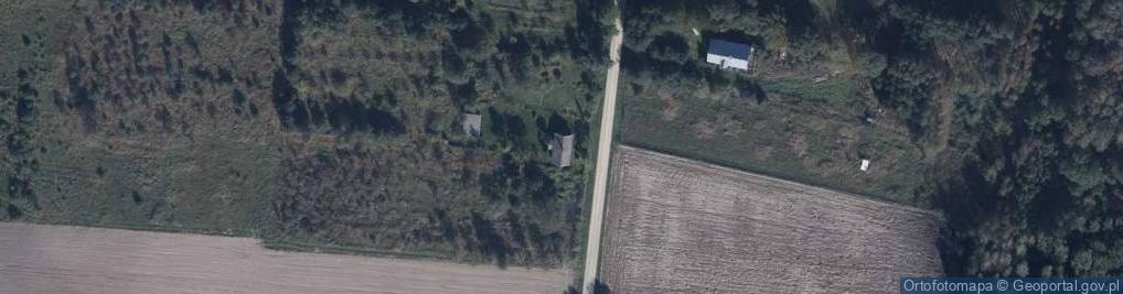 Zdjęcie satelitarne Orzechów-Kolonia ul.