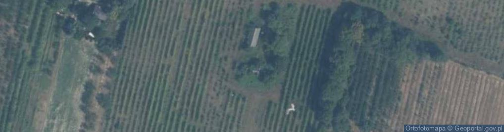 Zdjęcie satelitarne Orzechowo ul.