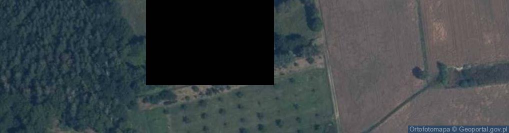 Zdjęcie satelitarne Osada Drzewce ul.