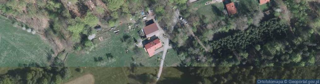 Zdjęcie satelitarne Osiedle Bucznik os.