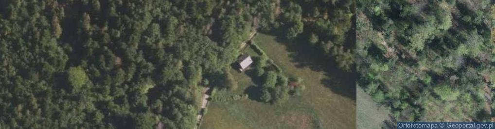 Zdjęcie satelitarne Osiedle Uścieńków os.