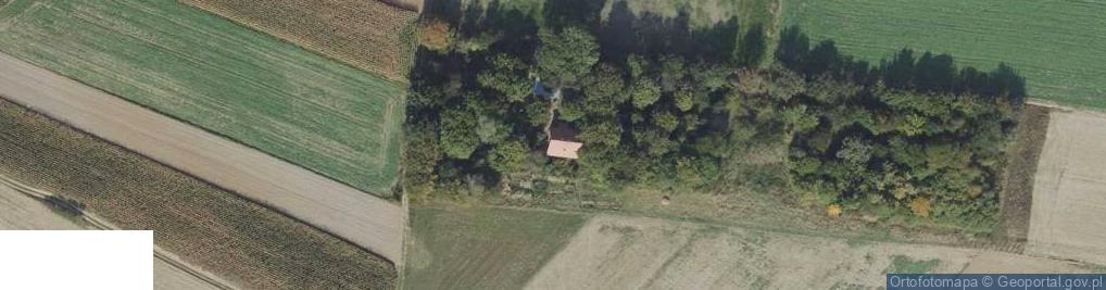 Zdjęcie satelitarne Ożańsk ul.
