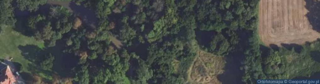 Zdjęcie satelitarne Park Bnińskiego Adolfa park.