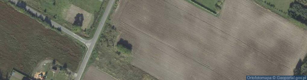 Zdjęcie satelitarne Pana Tadeusza ul.