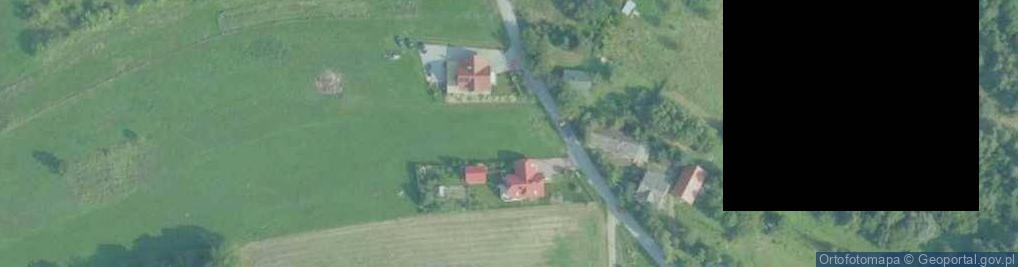 Zdjęcie satelitarne Palecka ul.