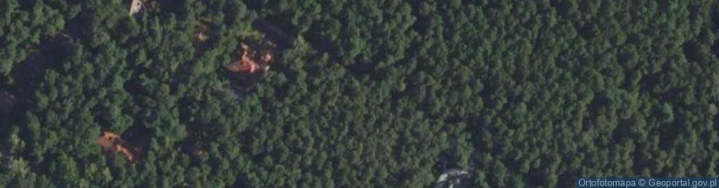 Zdjęcie satelitarne Paprociowa ul.