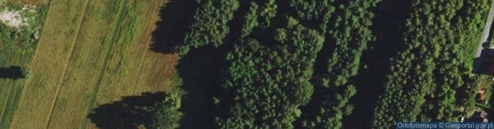 Zdjęcie satelitarne Pachnących Jabłoni ul.