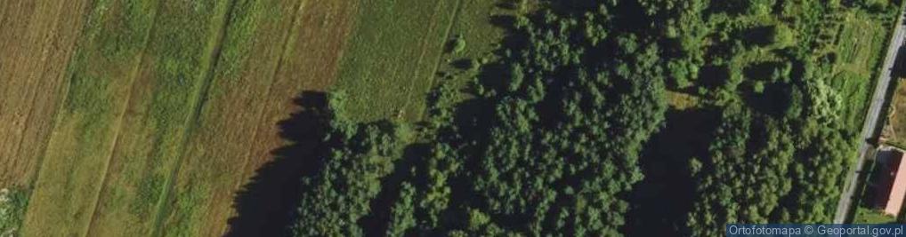 Zdjęcie satelitarne Pachnących Jabłoni ul.