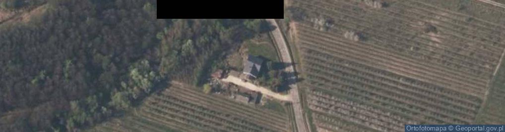 Zdjęcie satelitarne Pachy ul.