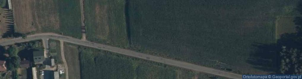Zdjęcie satelitarne Paczuski Duże ul.