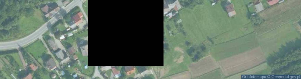 Zdjęcie satelitarne Palcza ul.