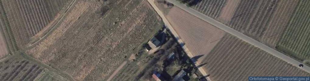 Zdjęcie satelitarne Palczew-Parcela ul.