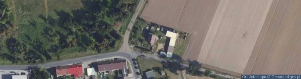 Zdjęcie satelitarne Pałczyn ul.