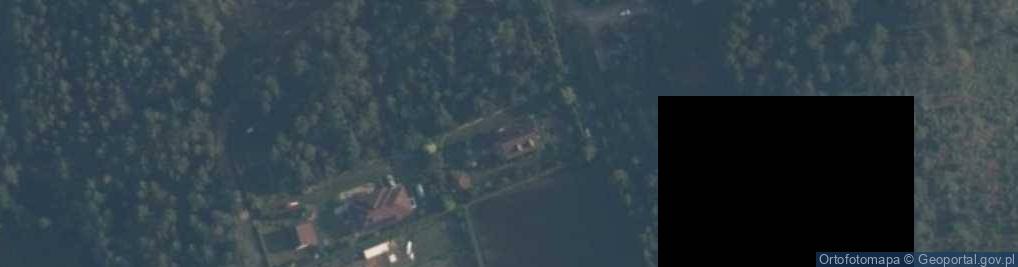 Zdjęcie satelitarne Pałubice ul.