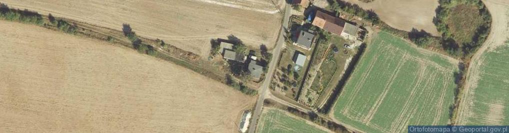 Zdjęcie satelitarne Pałuczyna ul.