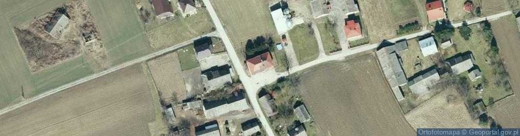 Zdjęcie satelitarne Pałuszyce ul.