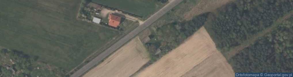 Zdjęcie satelitarne Parzniewice Duże ul.