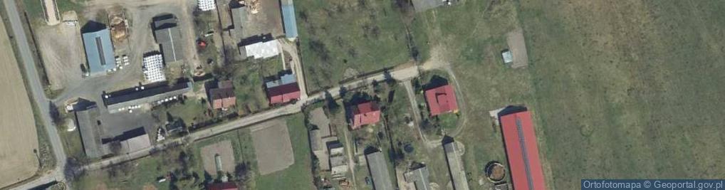 Zdjęcie satelitarne Pasieczniki Duże ul.