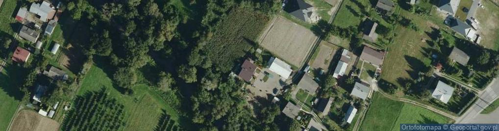 Zdjęcie satelitarne Paszczyna ul.