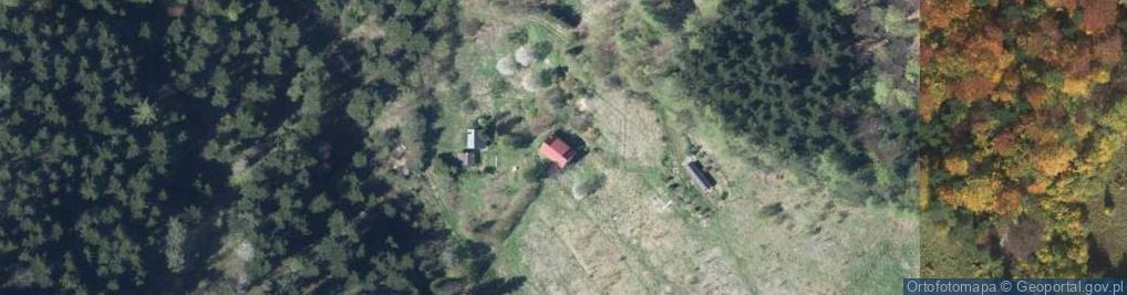 Zdjęcie satelitarne Paszyn ul.