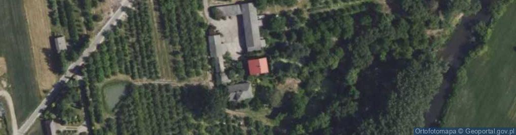 Zdjęcie satelitarne Patoki ul.