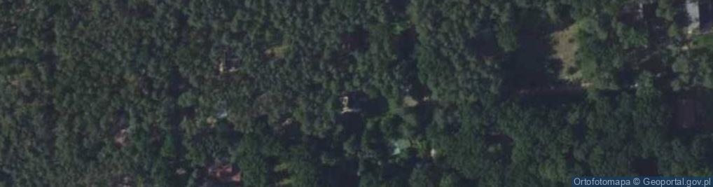 Zdjęcie satelitarne Paproci ul.