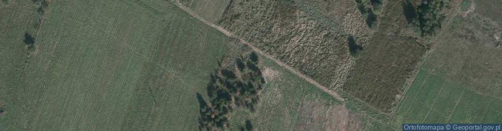 Zdjęcie satelitarne Palmowa ul.