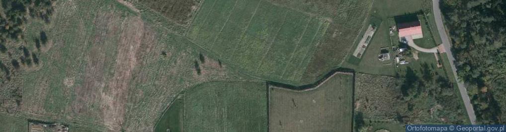 Zdjęcie satelitarne Palmowa ul.