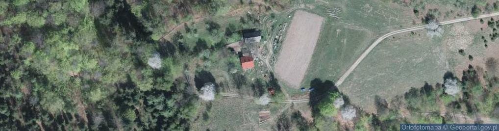 Zdjęcie satelitarne Palenica ul.
