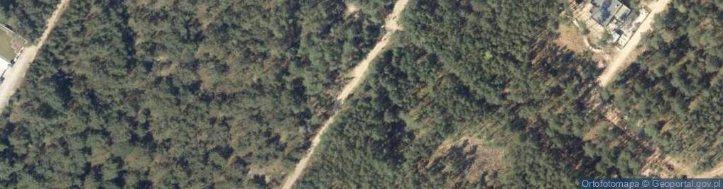 Zdjęcie satelitarne Paprocia ul.