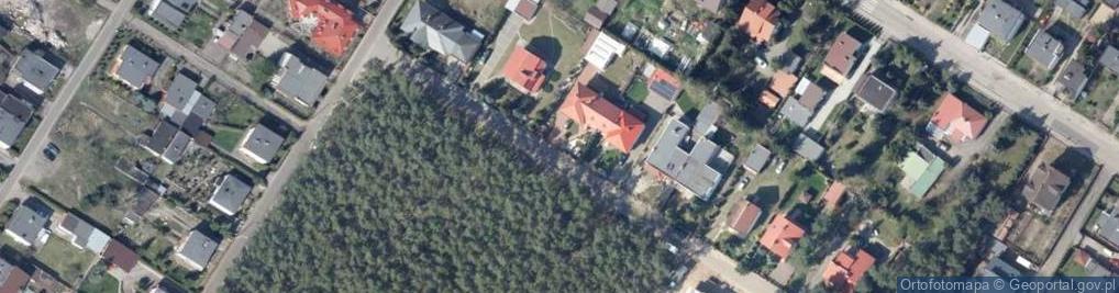 Zdjęcie satelitarne Pawia ul.