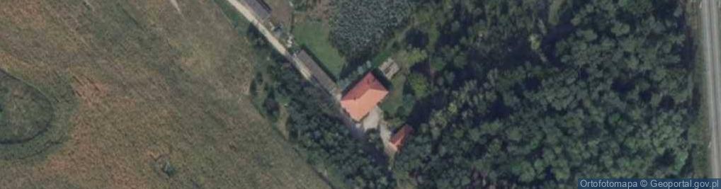 Zdjęcie satelitarne Pasieka ul.