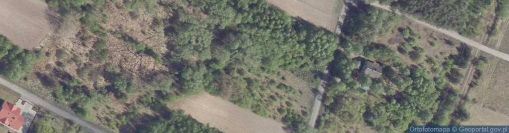 Zdjęcie satelitarne Pełna ul.