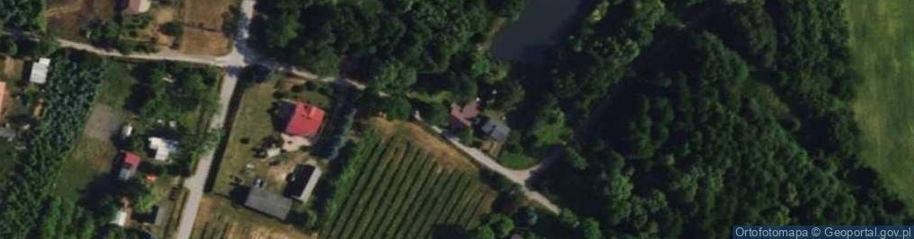Zdjęcie satelitarne Pękoszew ul.