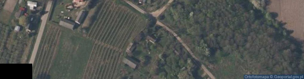 Zdjęcie satelitarne Pękoszew ul.