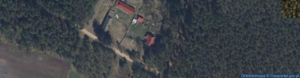 Zdjęcie satelitarne Pełty ul.