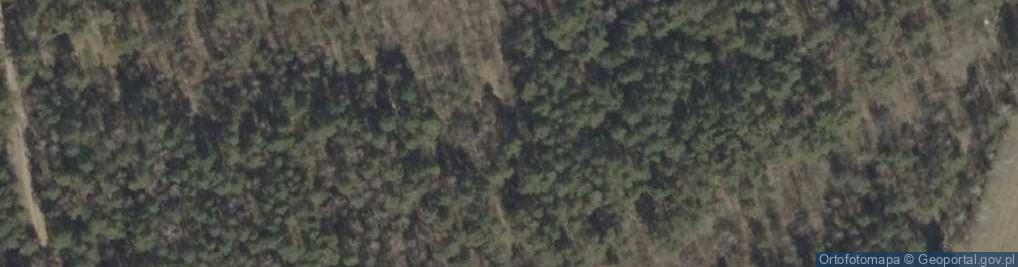 Zdjęcie satelitarne Perki-Bujenki ul.
