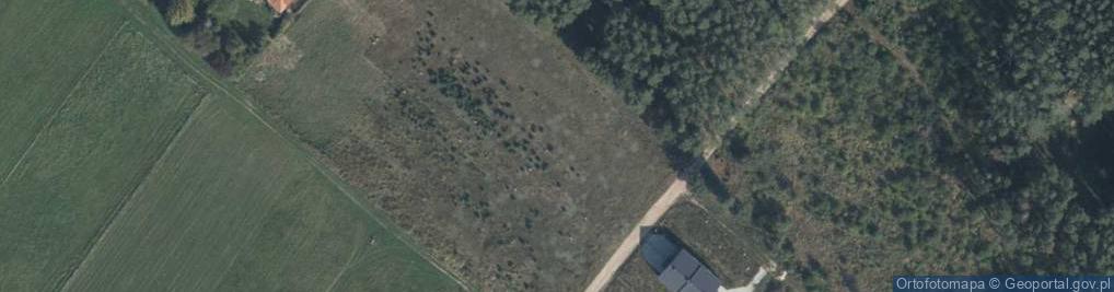 Zdjęcie satelitarne Pigwowa ul.