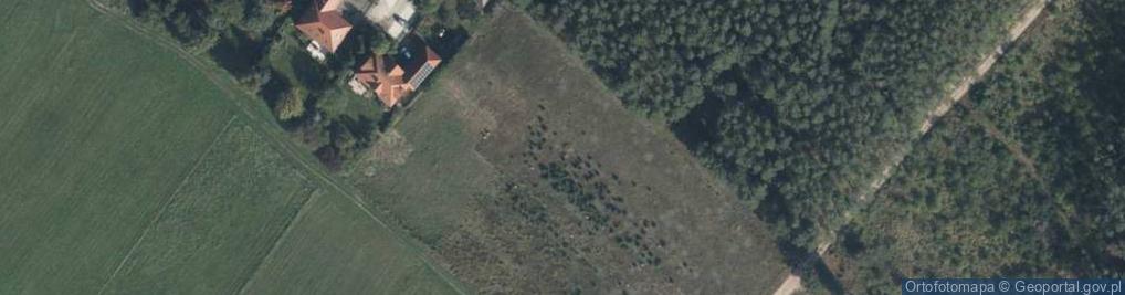 Zdjęcie satelitarne Pigwowa ul.