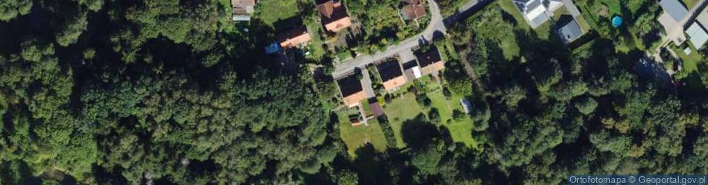 Zdjęcie satelitarne Pionierów ul.