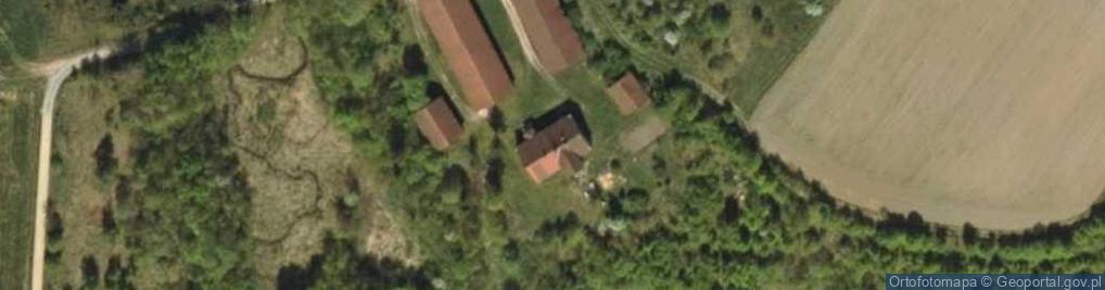 Zdjęcie satelitarne Pielgrzymowo ul.
