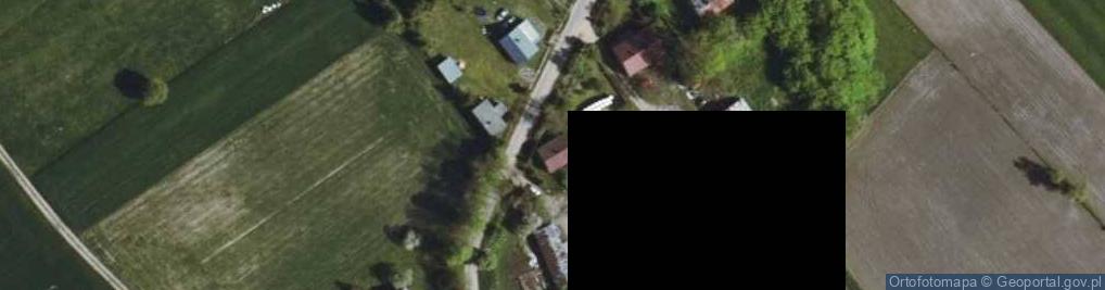 Zdjęcie satelitarne Pienice ul.